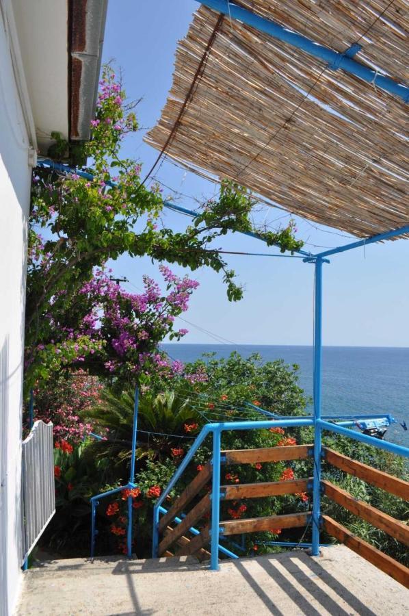 Ferienwohnung Sunset Ulcinj Exterior foto