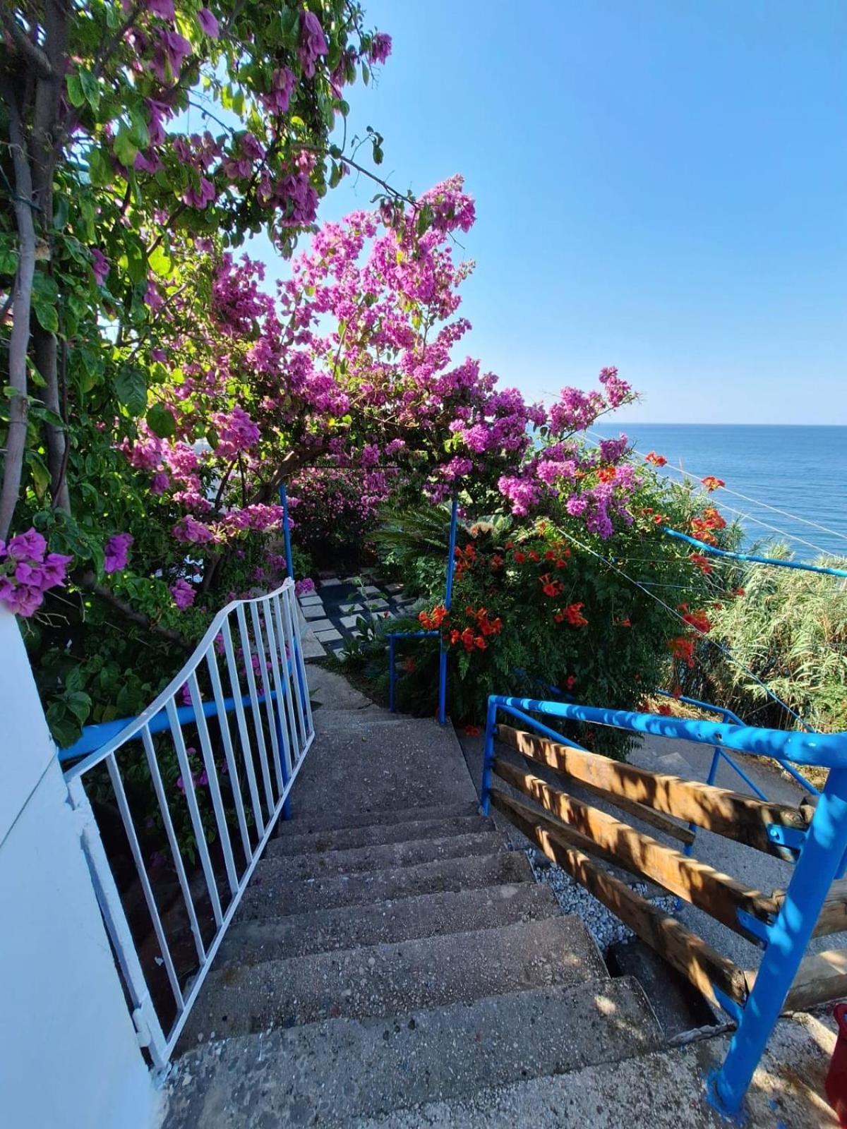 Ferienwohnung Sunset Ulcinj Exterior foto
